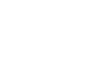 Evolution games at Arctic Spins Casino